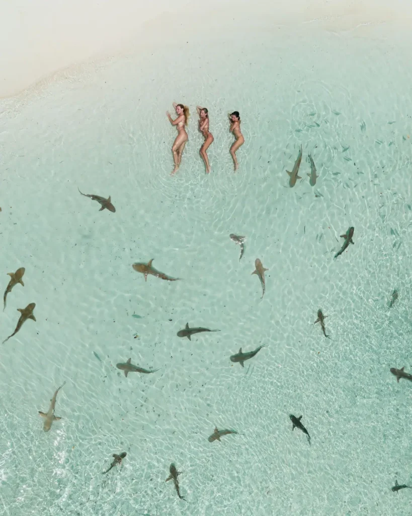 Aerial view of guests relaxing in crystal-clear shallow waters surrounded by small reef sharks during an Anne Bonny private charter island escape in Raja Ampat.