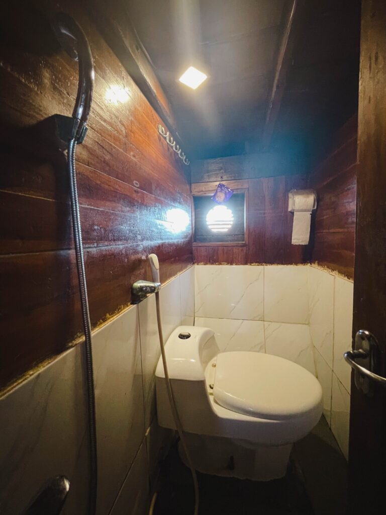 Shared cabin ensuite bathroom with toilet, shower and a round window