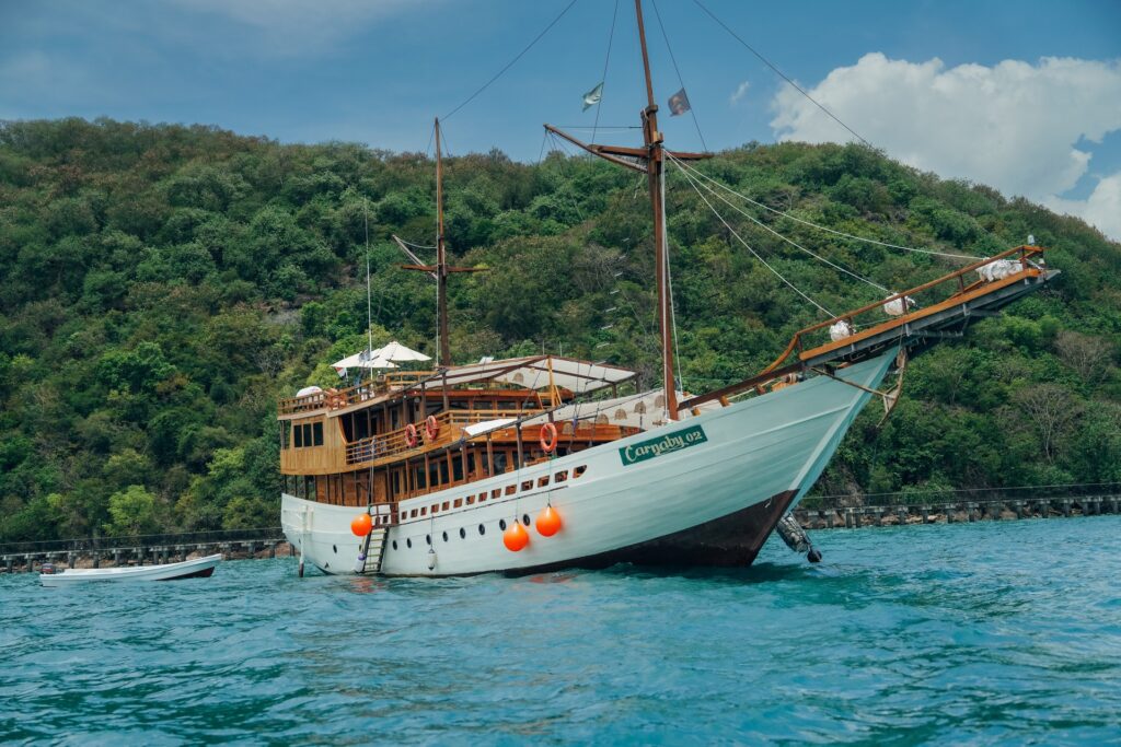 Carnaby II phinisi anchored beside a green hillside coastline