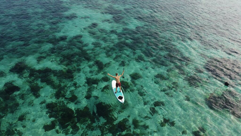 Top down drone view of a guest paddleboarding over clear water and coral reef