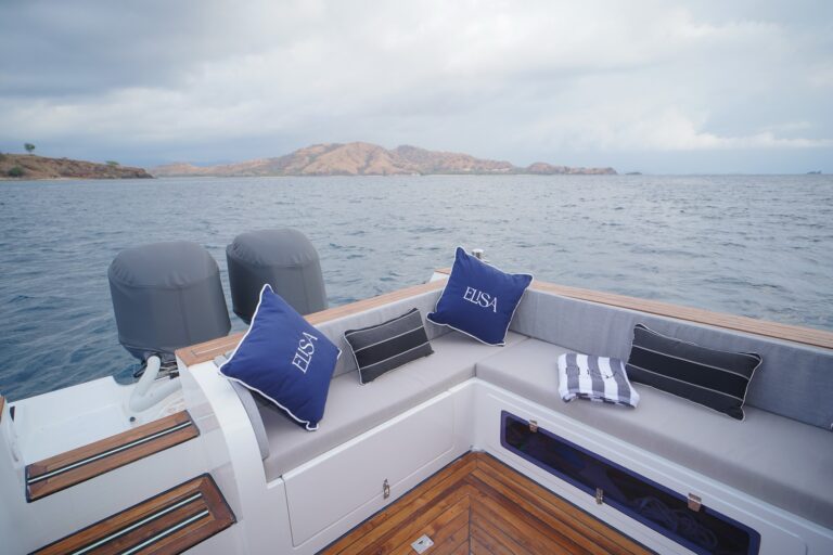 Elisa speedboat aft seating with branded pillows beside twin outboard engines