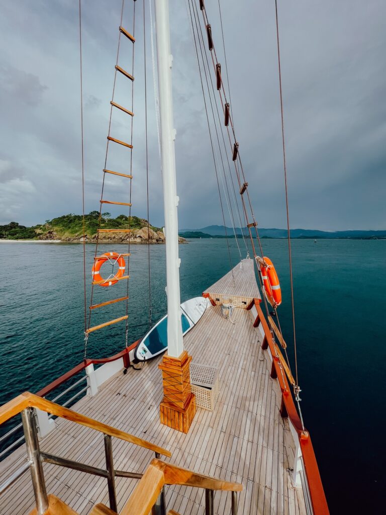 Wooden deck with a rope ladder up the mast and orange life rings