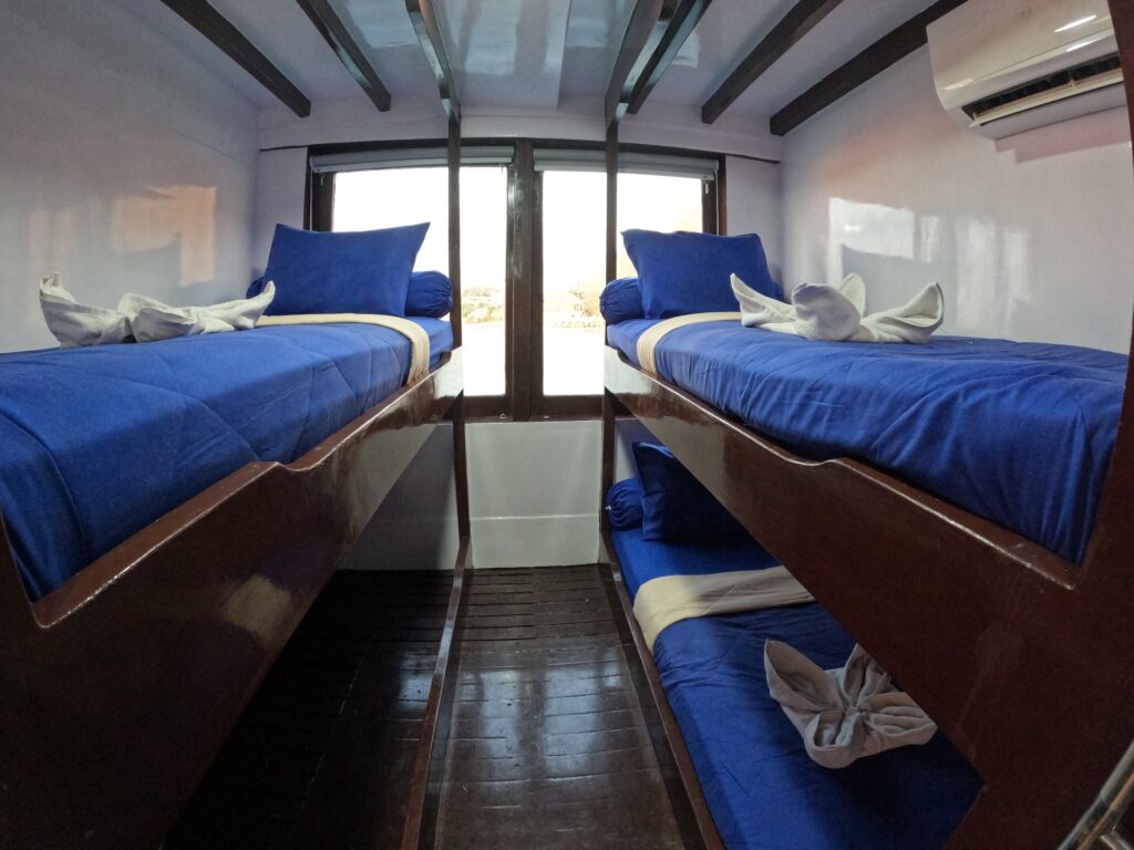 Family Stateroom with two sets of wooden bunk beds in blue linens