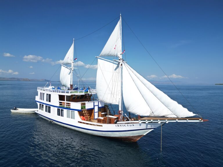 Invictus liveaboard under full sail against a clear blue sky