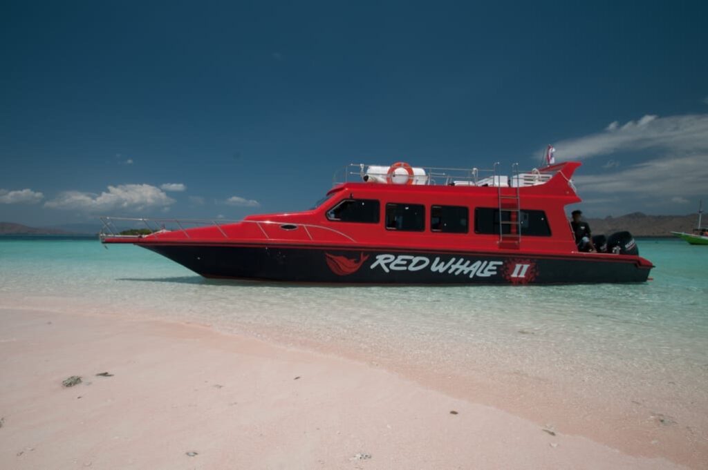 Red Whale II speedboat beached on the sand at a pink beach