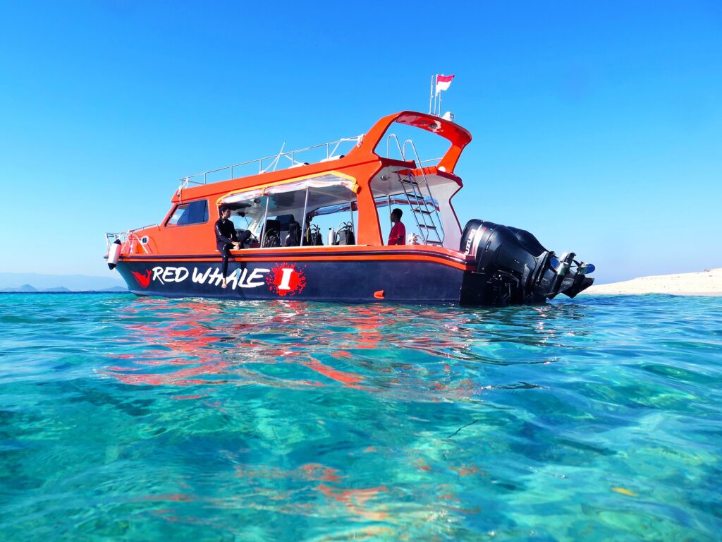 Red Whale Komodo speedboat anchored in shallow turquoise water near shore