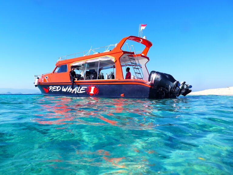 Red Whale Komodo speedboat anchored in shallow turquoise water near shore