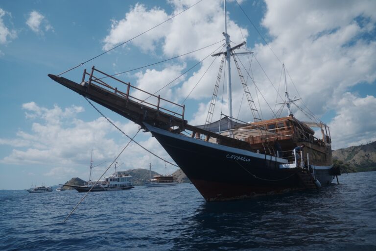 Low angle view of the Cordelia phinisi wooden bow and tall masts