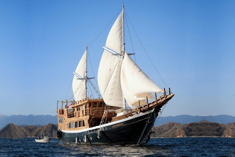 Cordelia komodo liveaboard phinisi under full white sail on open water