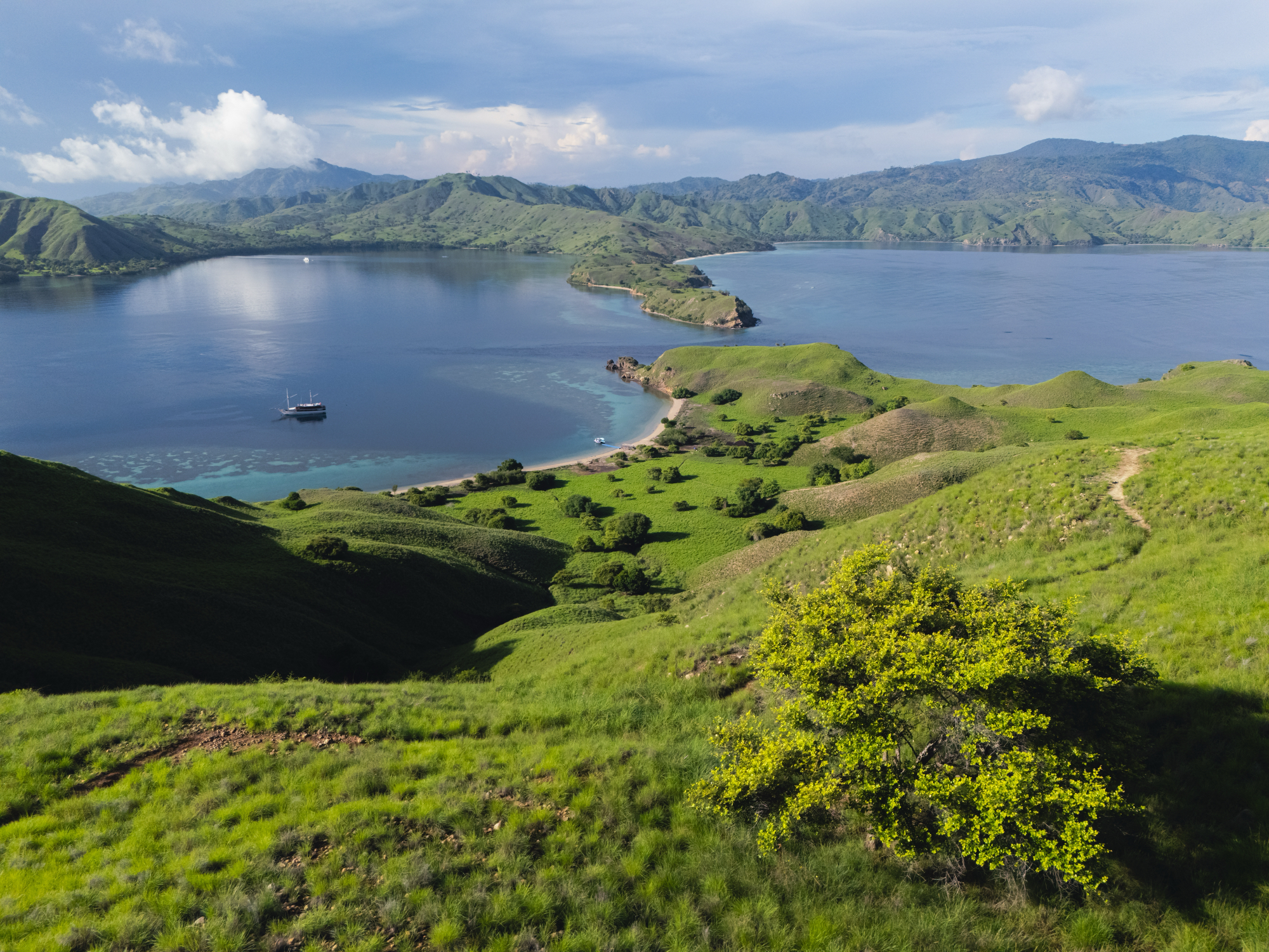 Phinisi anchored in a wide bay seen from green hills above Gili Lawa