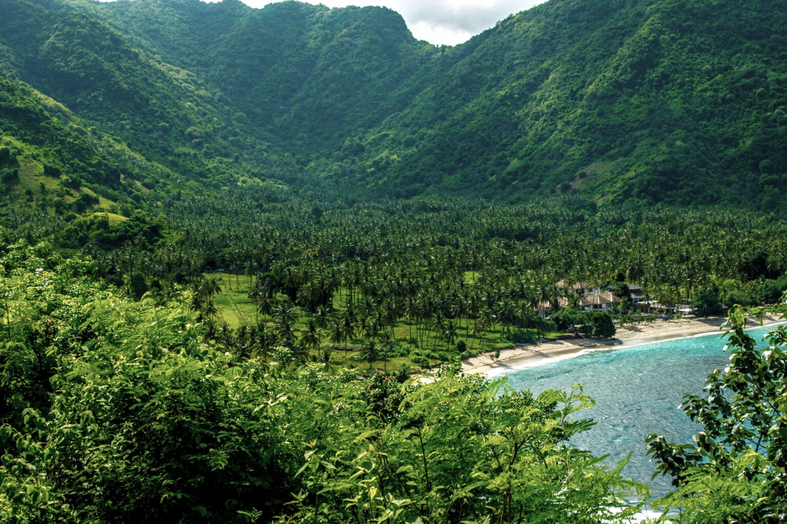 Green valley of coconut groves running down to a white beach and turquoise bay, Lombok