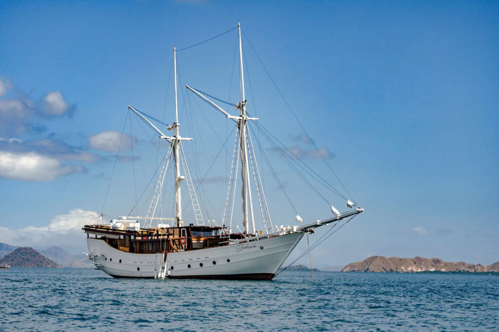 Jakare broadside view under blue sky with birds resting on bow
