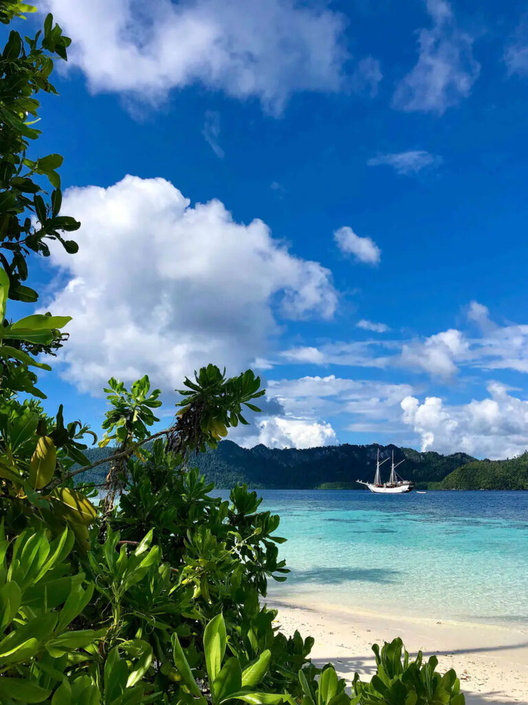 Jakare liveaboard framed by green foliage from a tropical beach