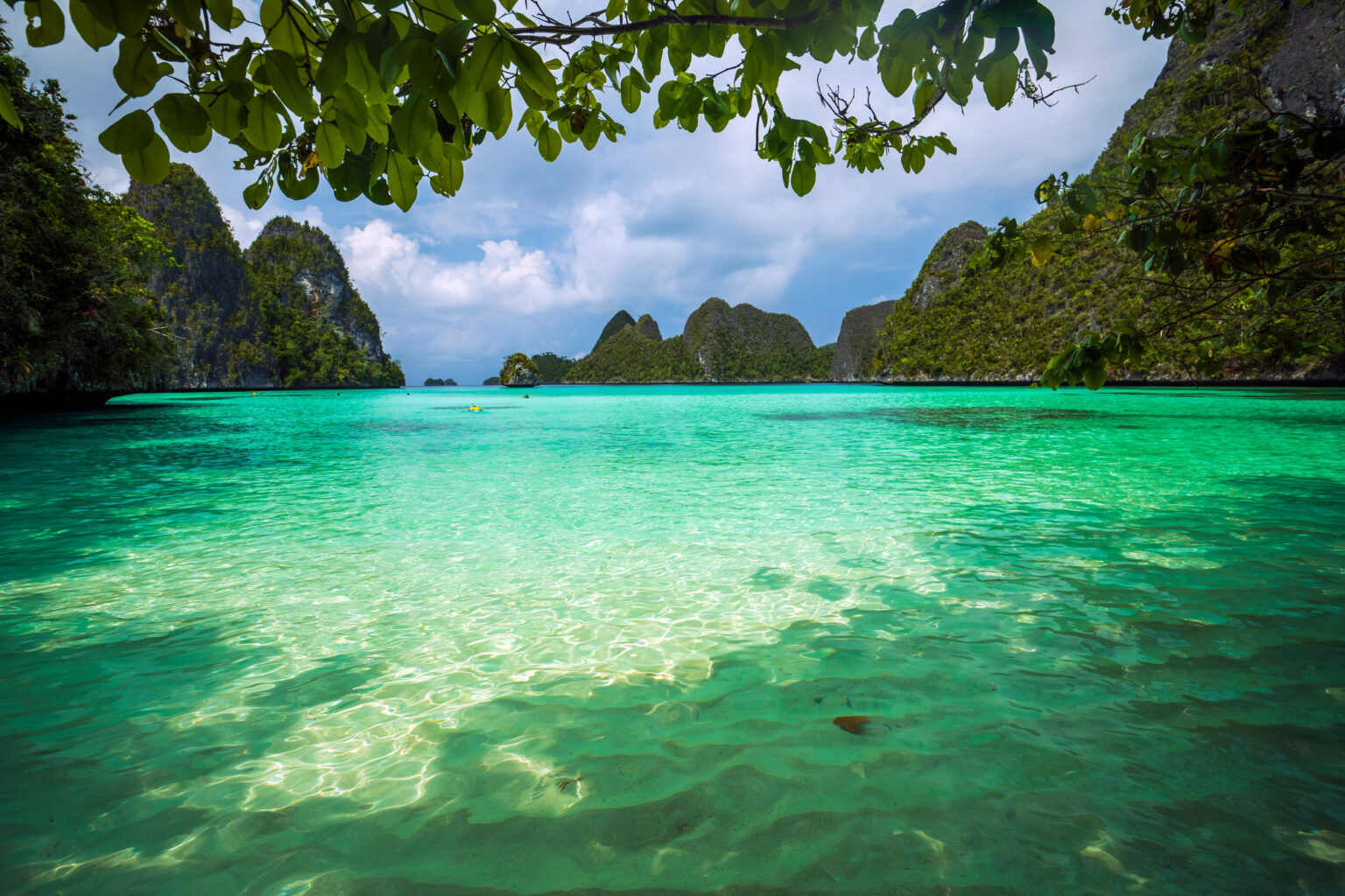 Clear turquoise shallows and karst islands framed by overhanging leaves, Raja Ampat