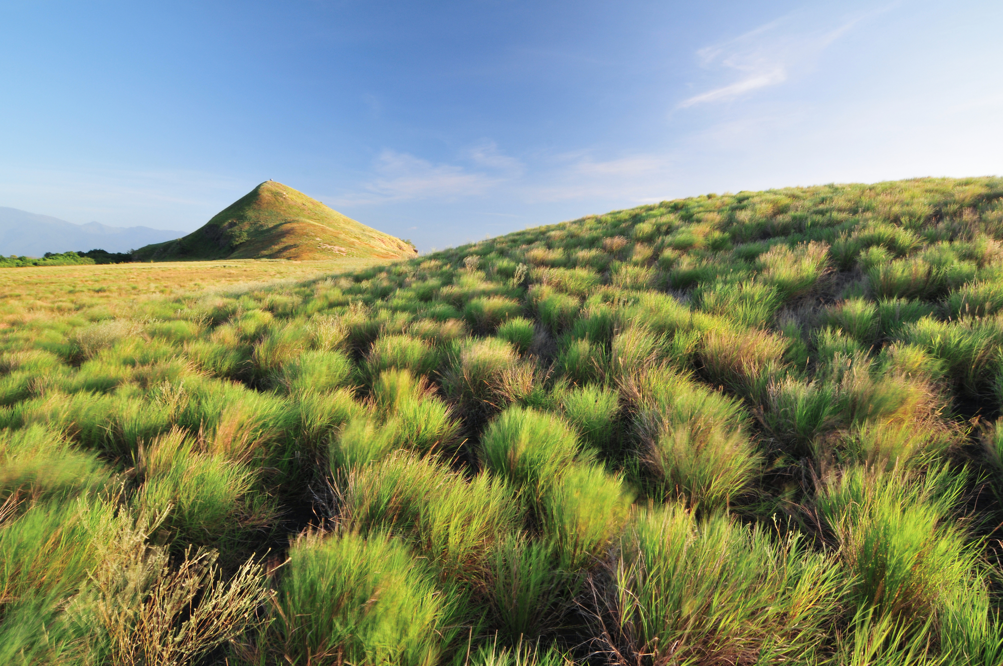 Wide dawn panorama from Padar Island's summit over three bays and anchored vessels, Komodo