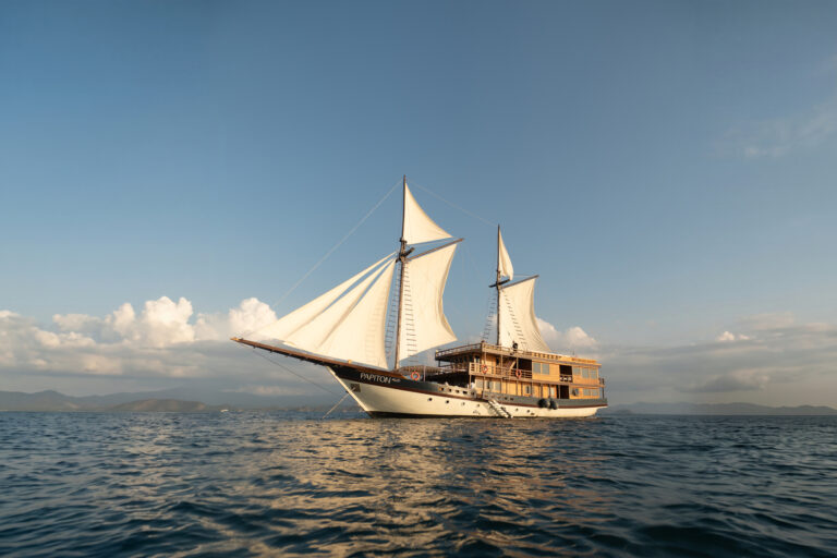 Papiton Allo Komodo liveaboard phinisi under full sail on calm water at golden hour