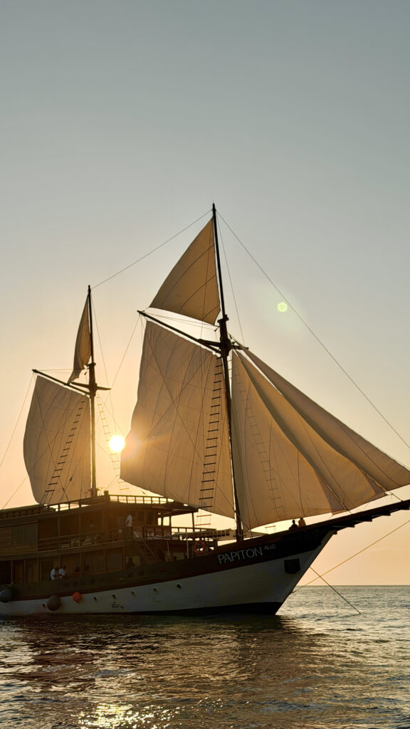 Papiton Allo Komodo liveaboard under sail with the low sun behind the canvas