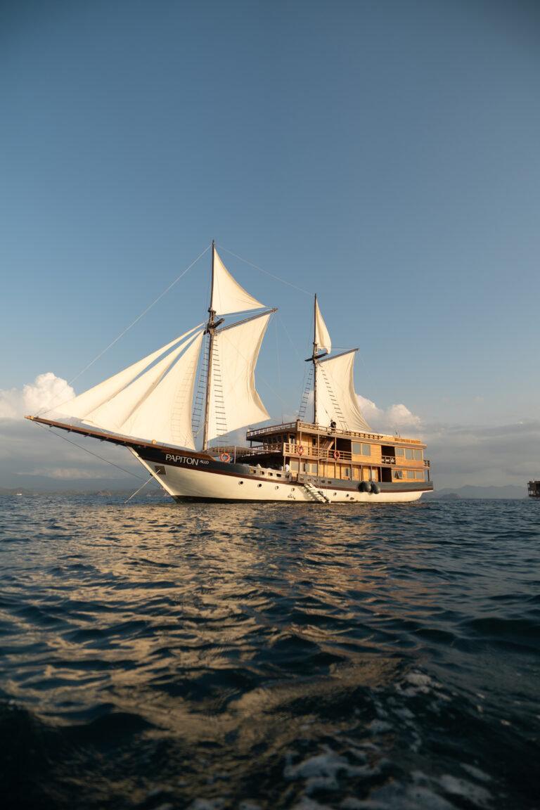 Papiton Allo phinisi under full sail on open water at golden hour