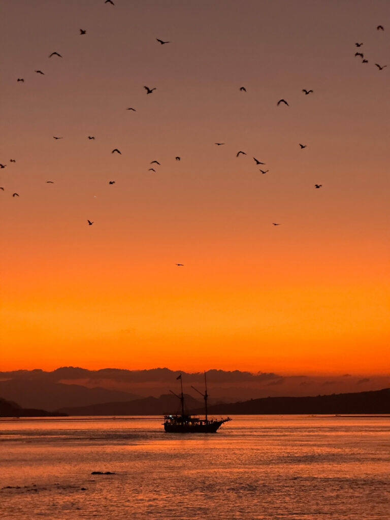 Phinisi silhouetted on orange water with birds scattered across the evening sky