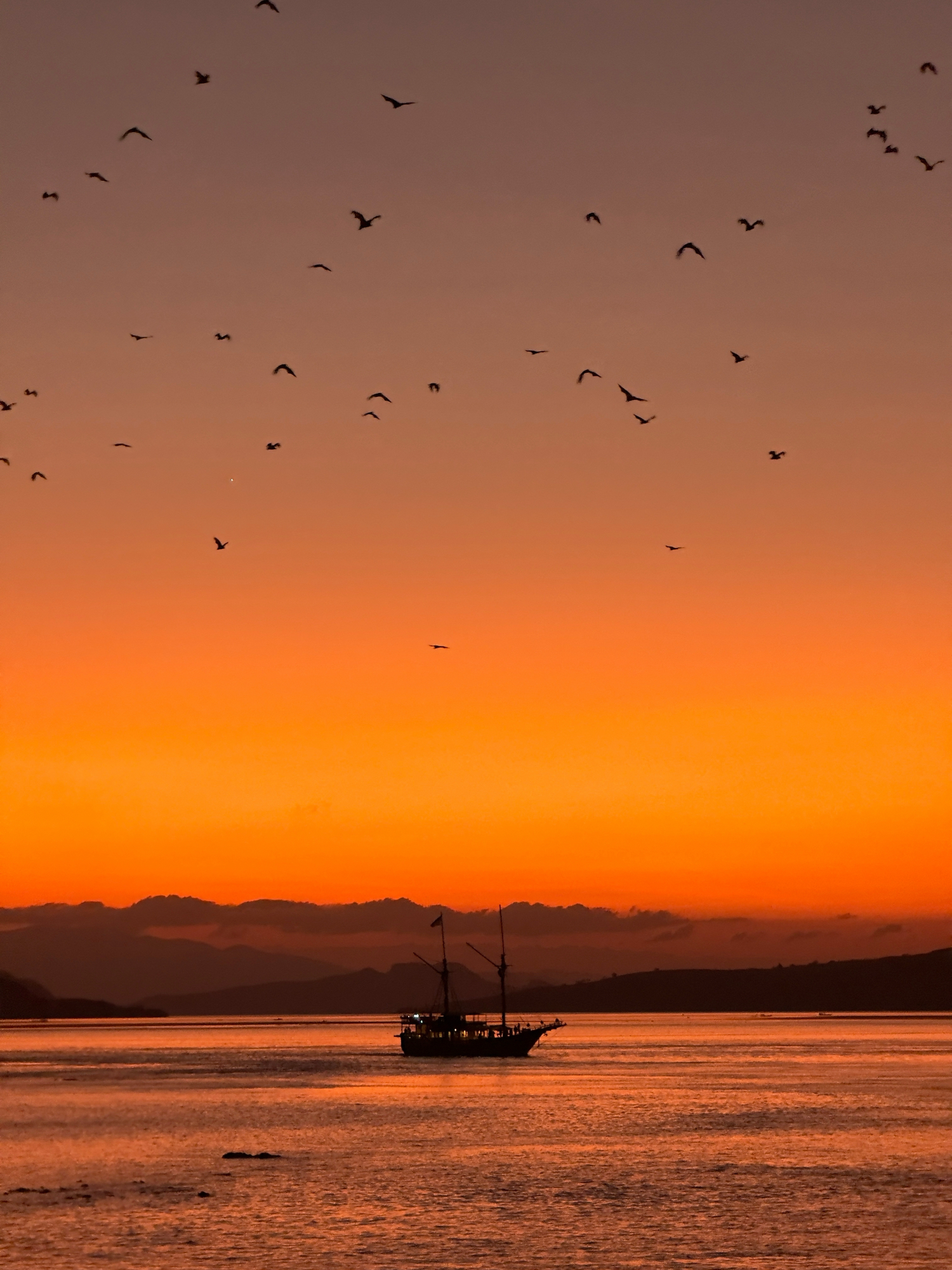 Phinisi silhouetted on orange water with birds scattered across the evening sky