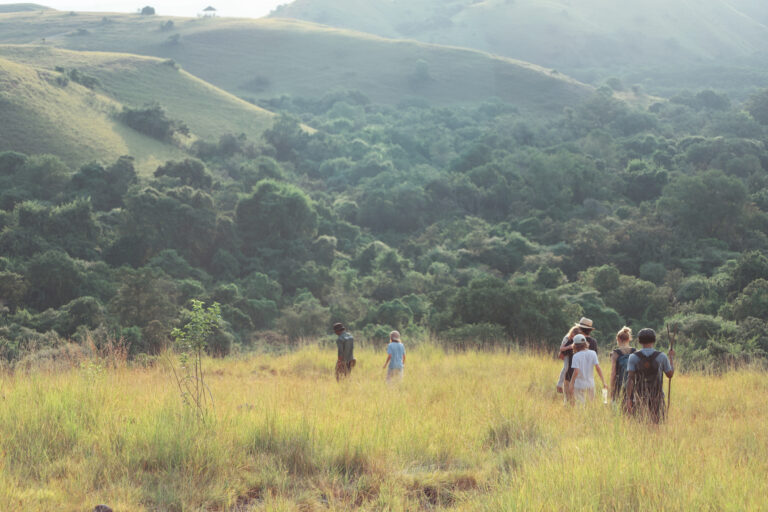 Small group of travelers walking through tall savannah grass on Rinca Island, Komodo